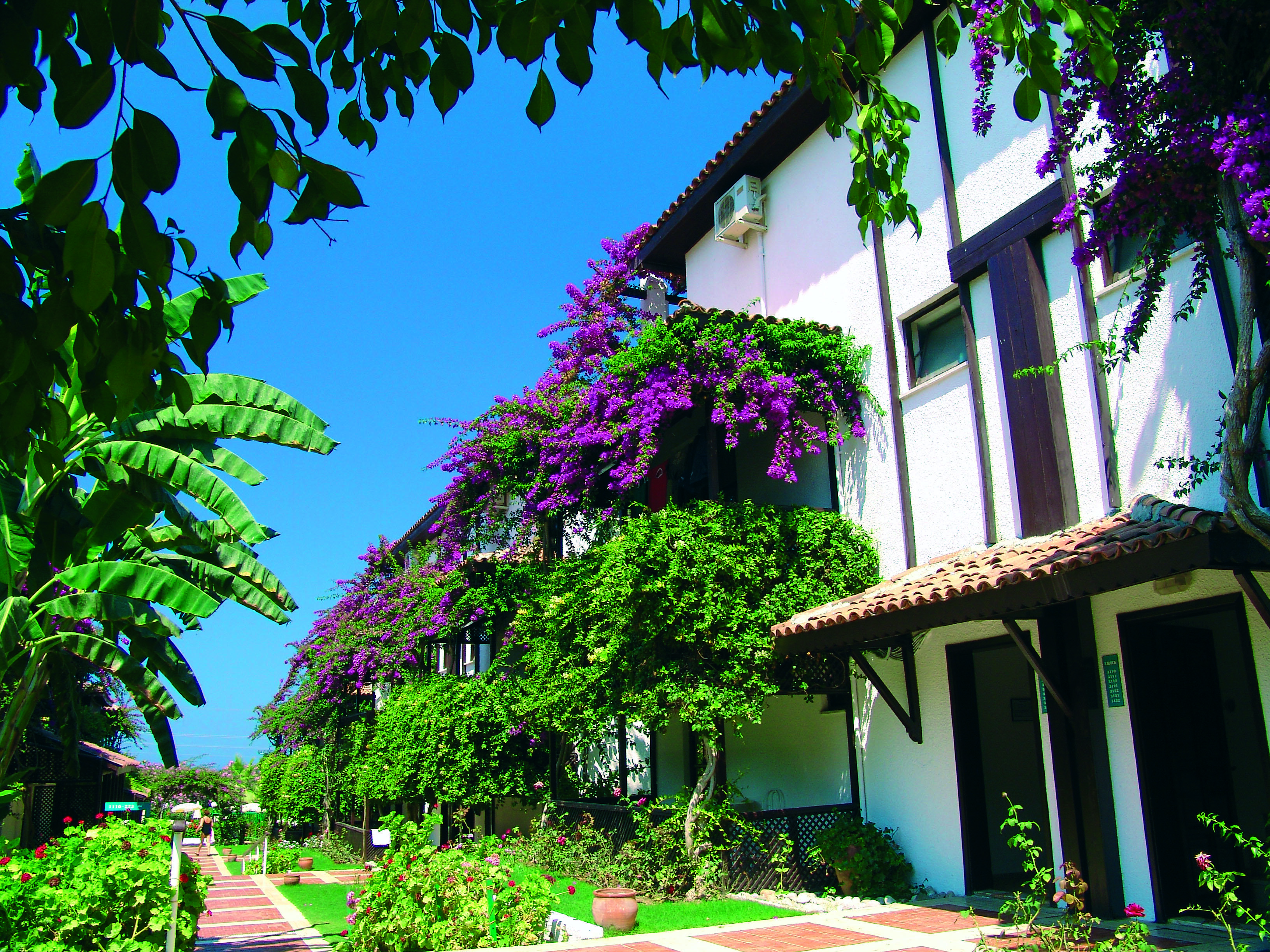 Titan Club Hotel Ultra All Inclusive Kargicak  Εξωτερικό φωτογραφία