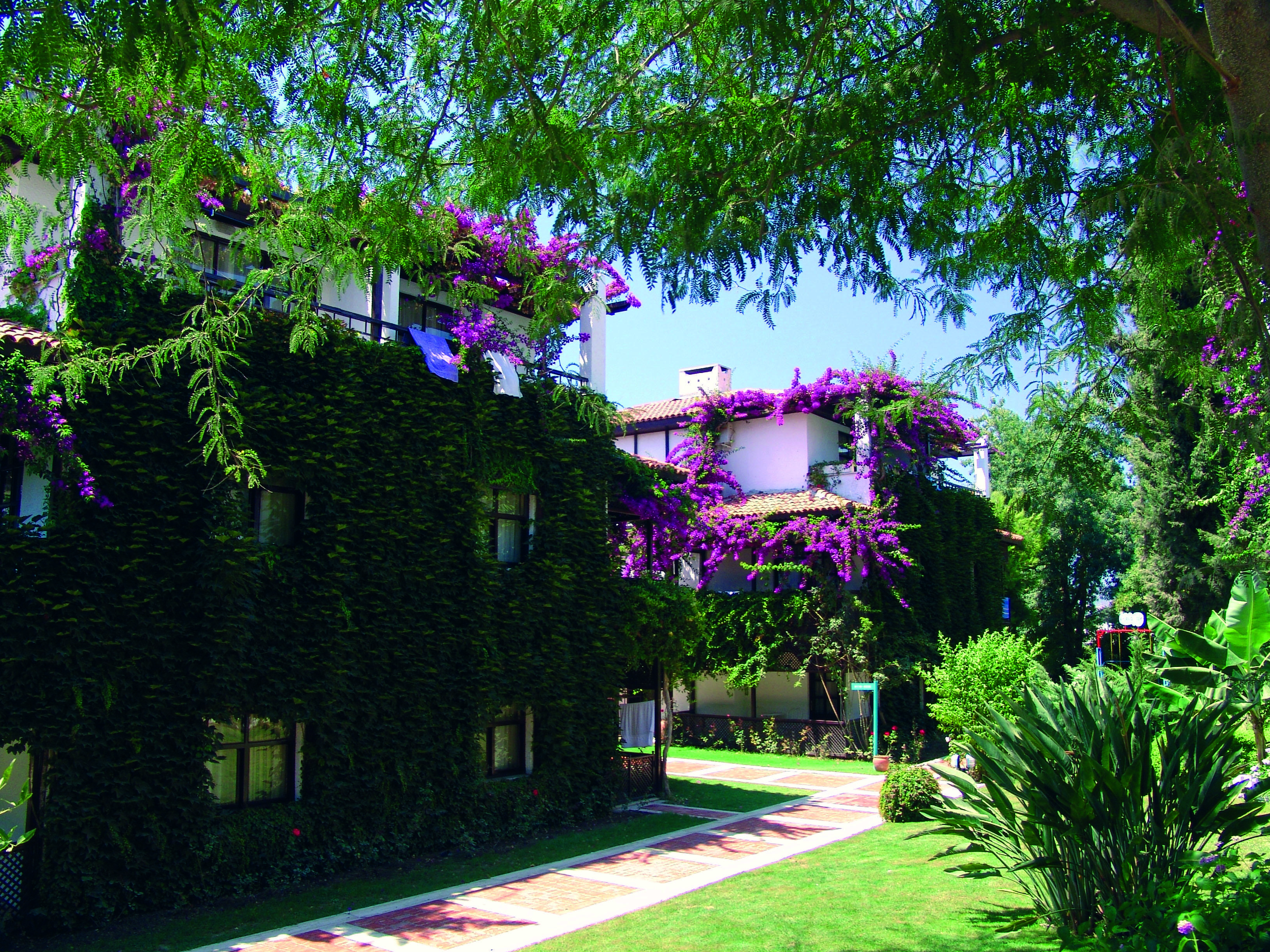 Titan Club Hotel Ultra All Inclusive Kargicak  Εξωτερικό φωτογραφία