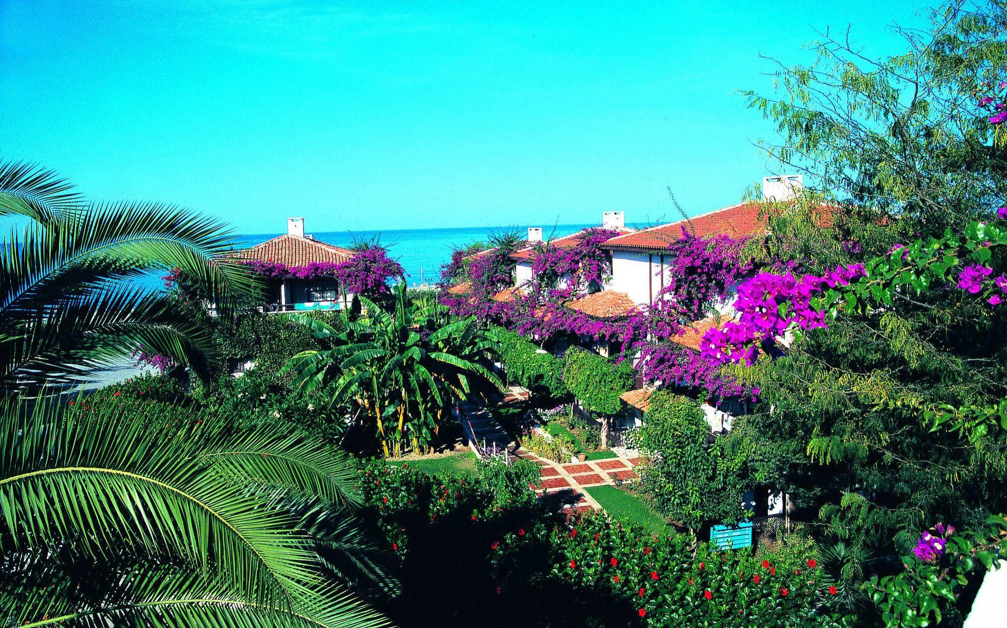 Titan Club Hotel Ultra All Inclusive Kargicak  Εξωτερικό φωτογραφία